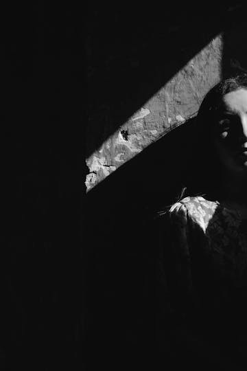 The Shadow